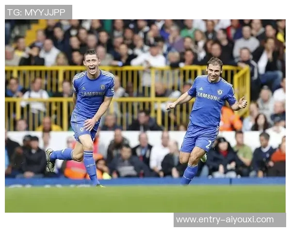 切尔西与热刺球员身价对比分析揭示两队实力差距